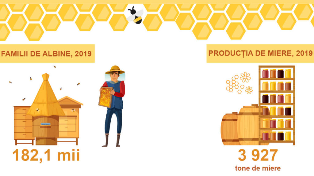 Производство мед в Молдове